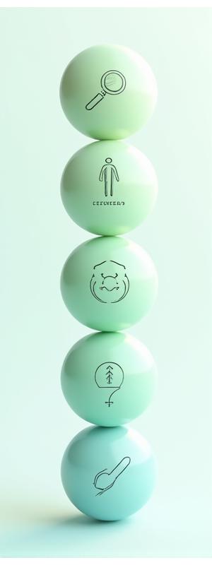 Mobile visualization of Velaxis Health Co. 4-step wellness methodology: Assess, Personalize, Implement, Refine.